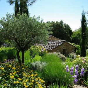 Adoptez un jardin méditerranéen